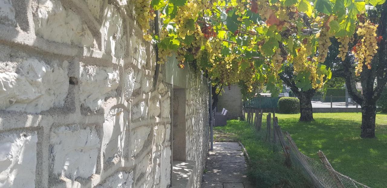 Wifi Clim Garage Jardin BBQ Cosy House Villa Brive-la-Gaillarde Exterior foto